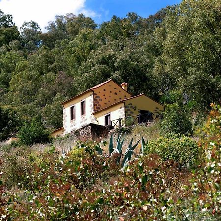 Casa Rural Las Caldereras Teror Luaran gambar