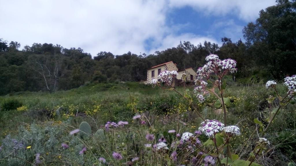 Casa Rural Las Caldereras Teror Luaran gambar